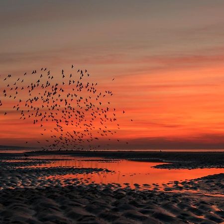 Hoekje Aan Zee カトウェイク・アーン・ゼー エクステリア 写真