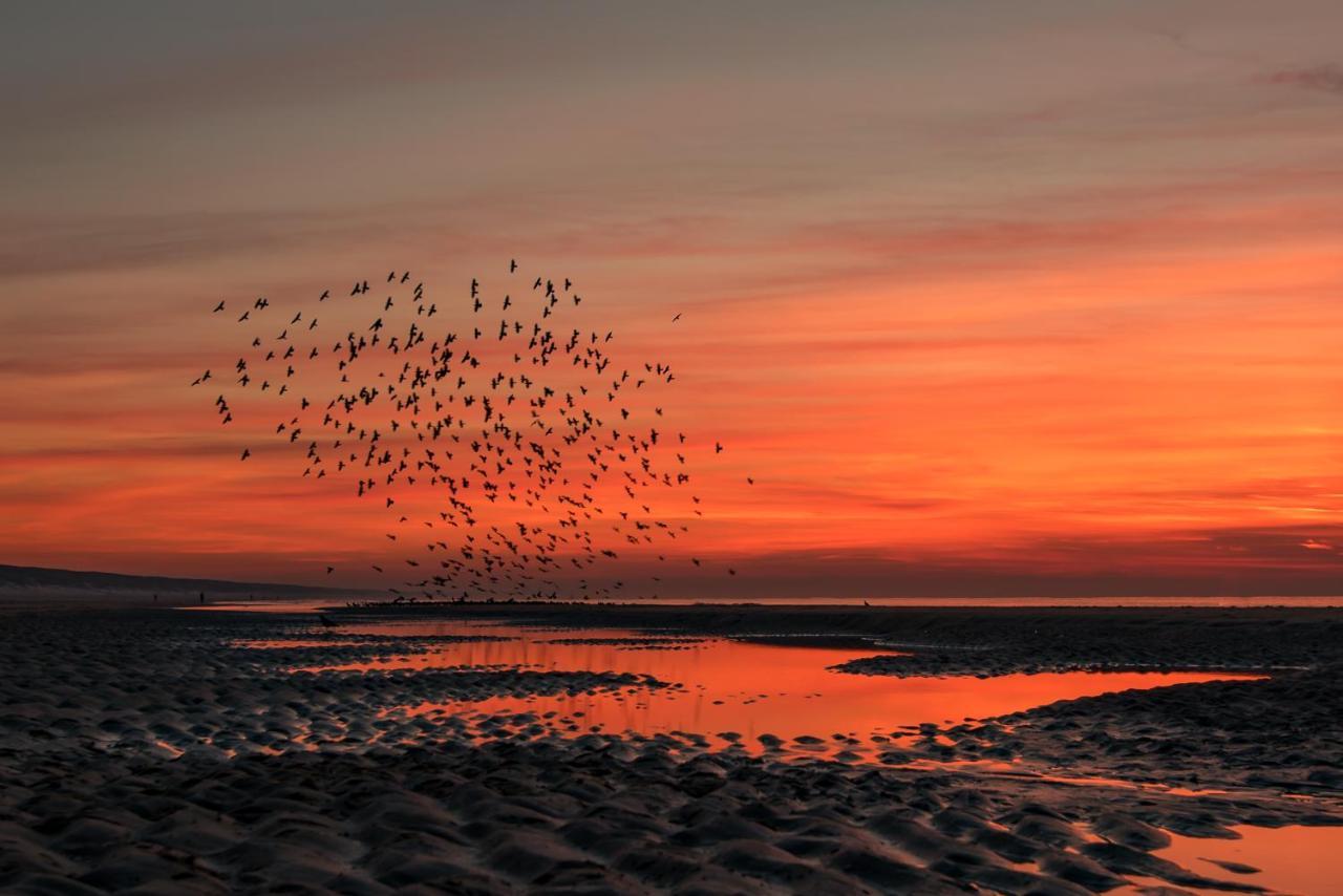 Hoekje Aan Zee カトウェイク・アーン・ゼー エクステリア 写真
