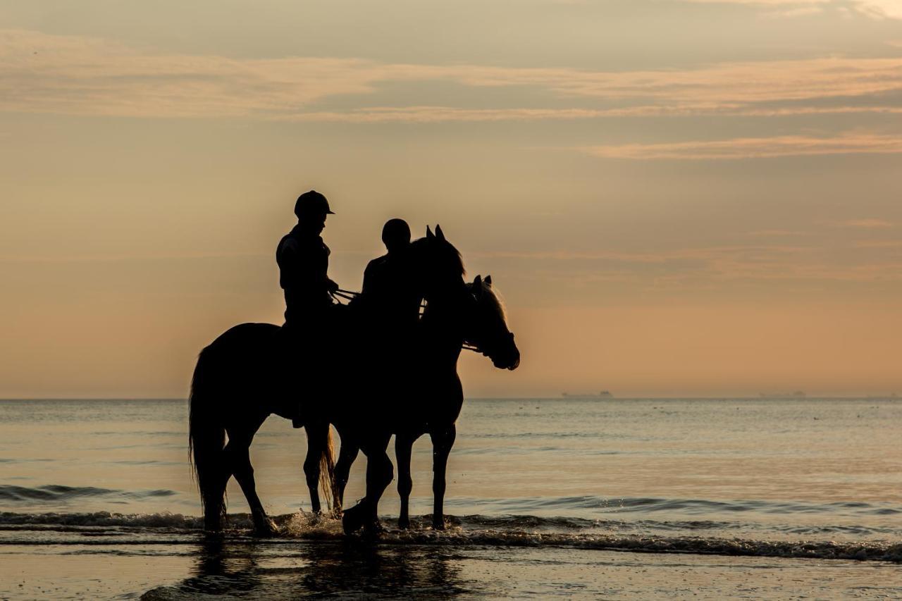 Hoekje Aan Zee カトウェイク・アーン・ゼー エクステリア 写真